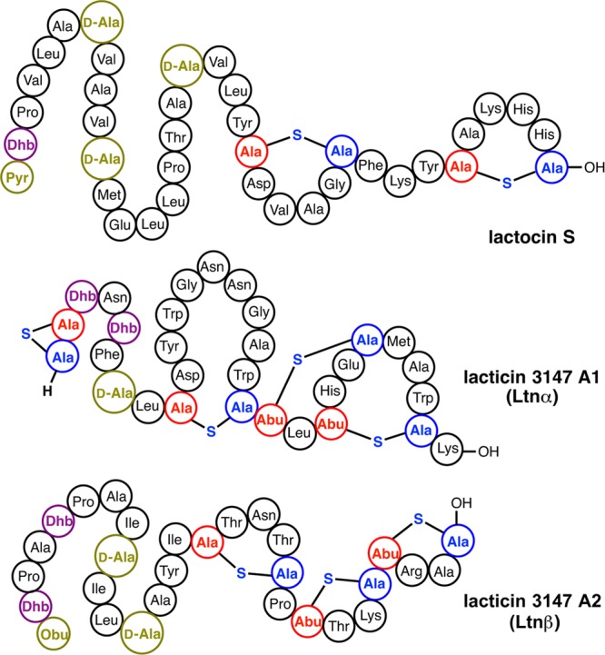 Figure 40