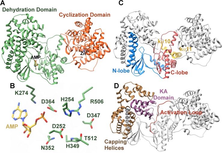 Figure 30