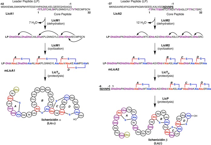 Figure 22