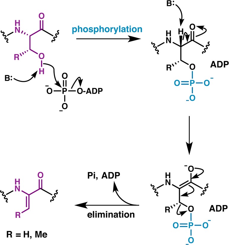 Figure 28