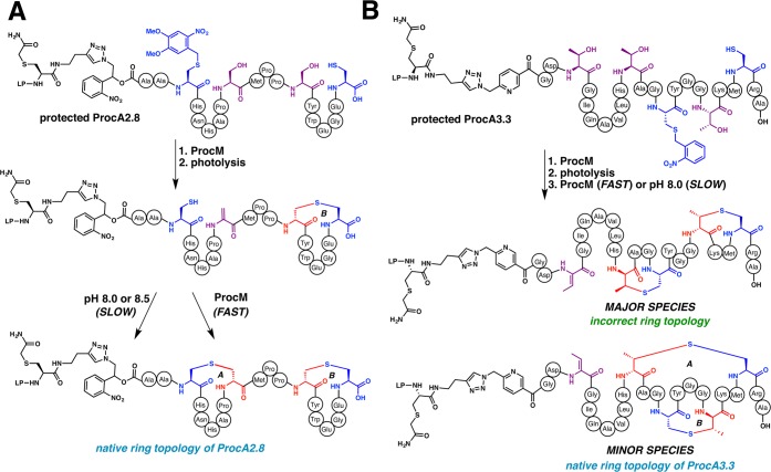 Figure 36