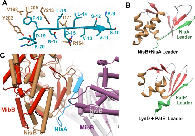 Figure 15