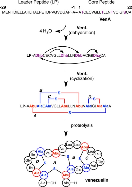 Figure 47