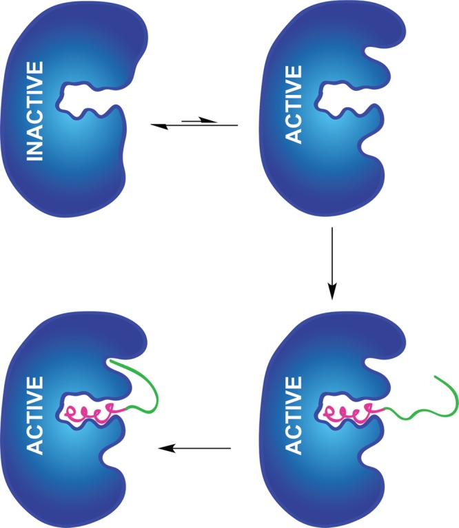 Figure 39