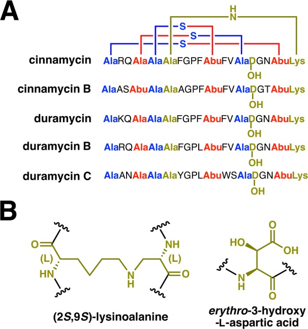 Figure 41