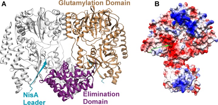 Figure 9