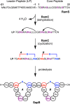 Figure 43