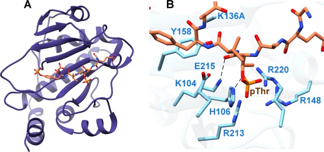 Figure 50