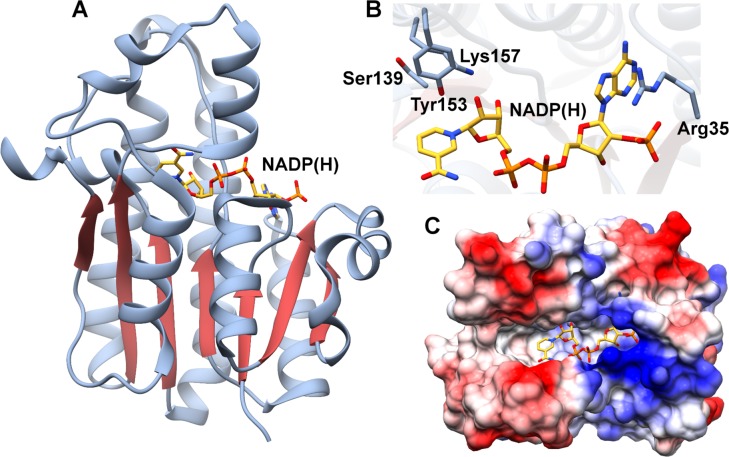 Figure 17