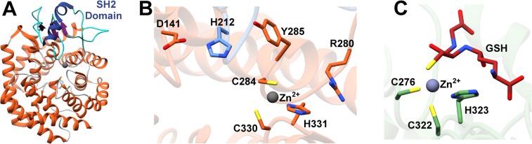 Figure 12