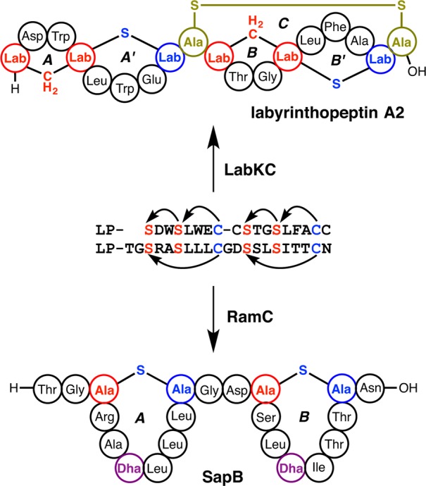 Figure 52