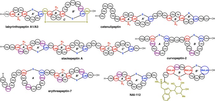 Figure 48