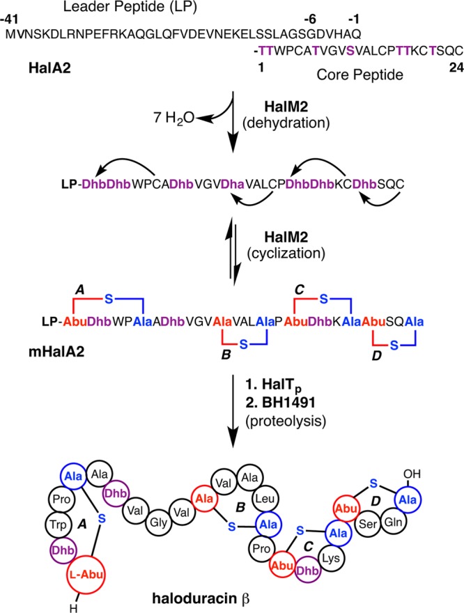 Figure 33