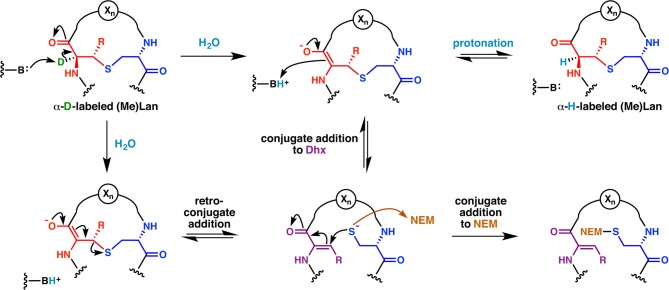 Figure 34