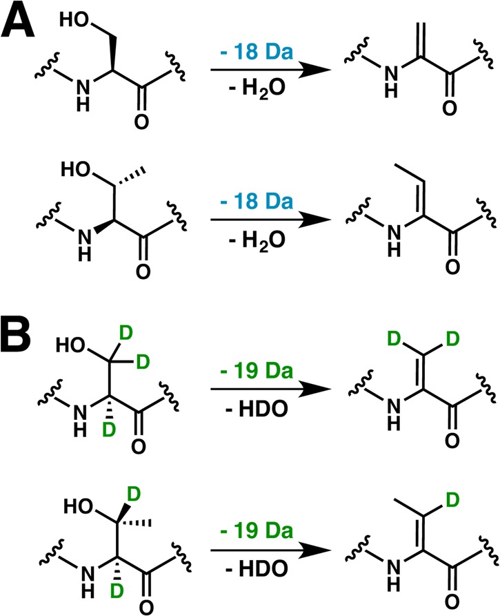 Figure 38