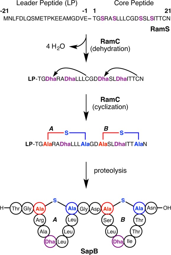 Figure 43