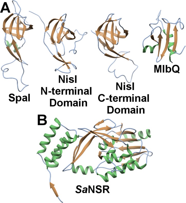 Figure 19