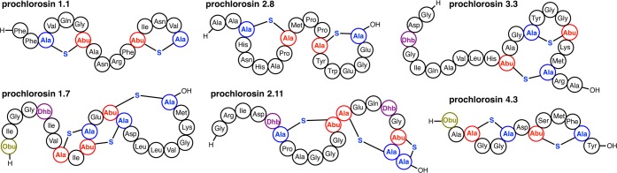 Figure 26