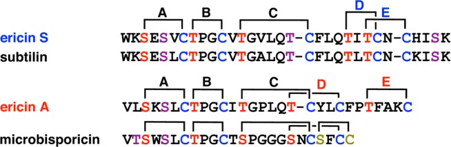 Figure 14