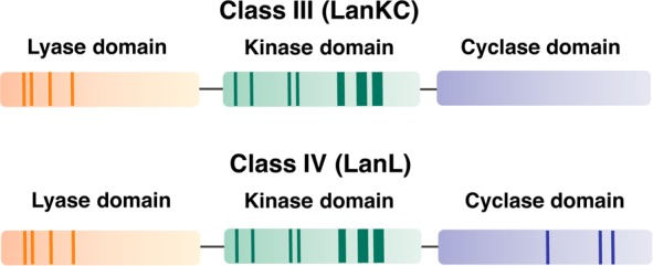 Figure 46