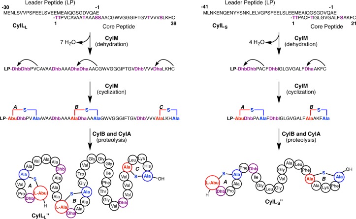 Figure 29