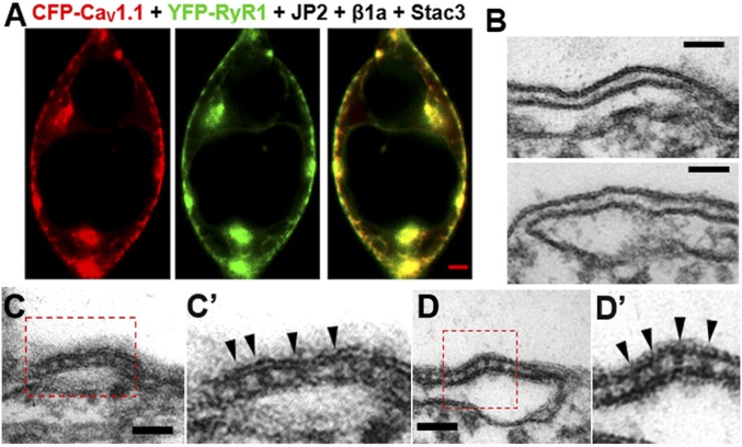 Fig. 3.