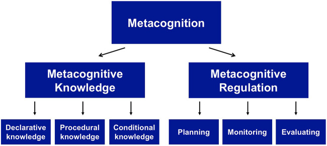 FIGURE 1.