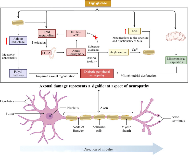 Figure 2