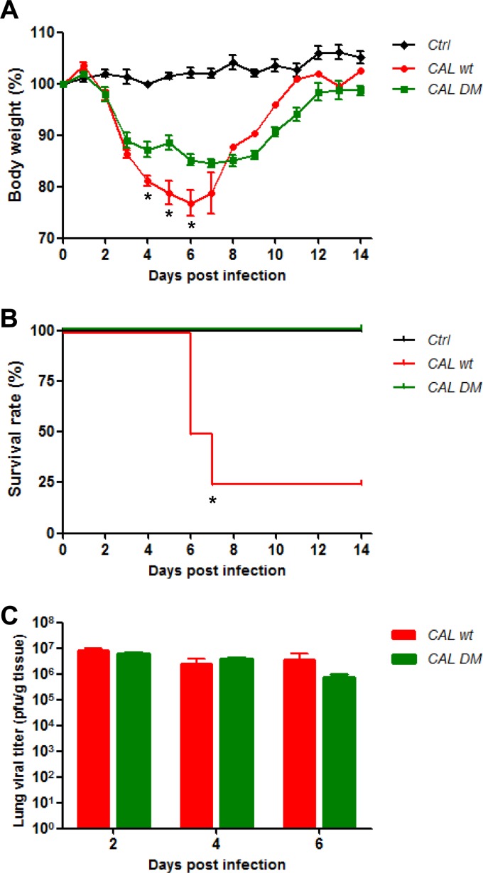 FIG 6