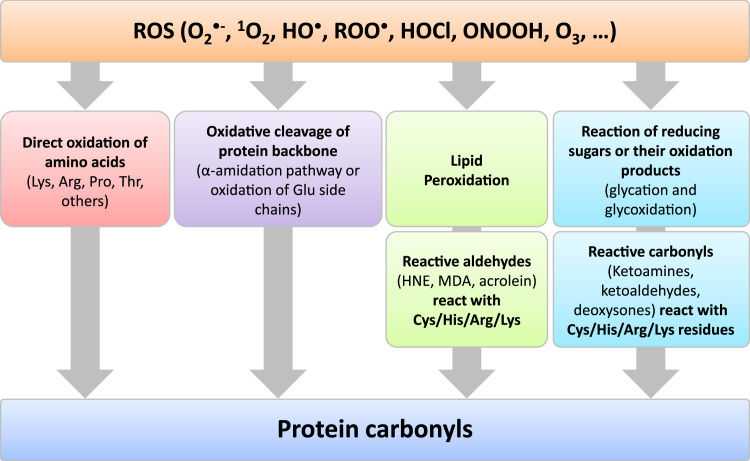 Fig. 1