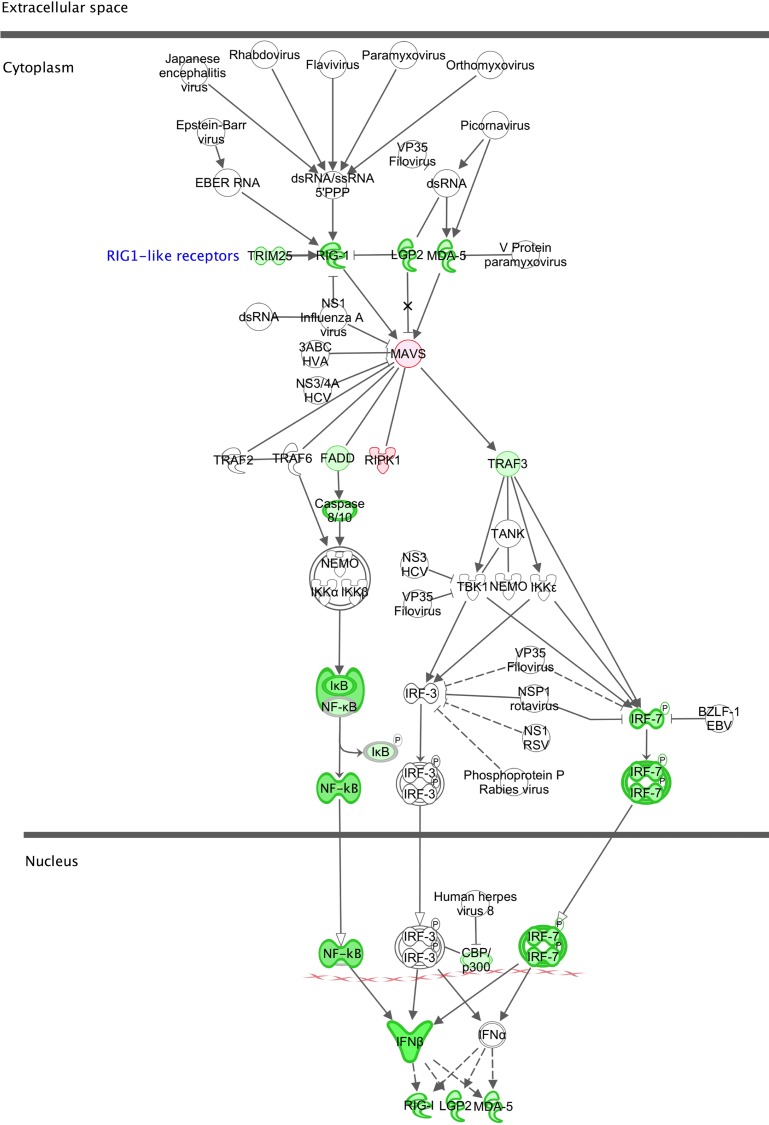 Fig 5