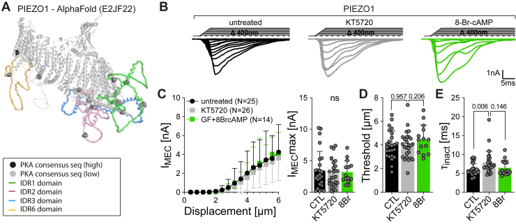 Figure 6