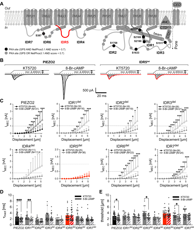 Figure 4