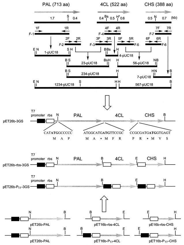 FIG.2.