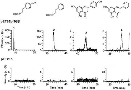 FIG. 4.