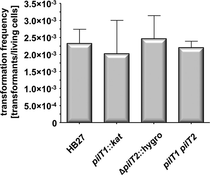 FIG 8