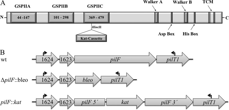 FIG 1