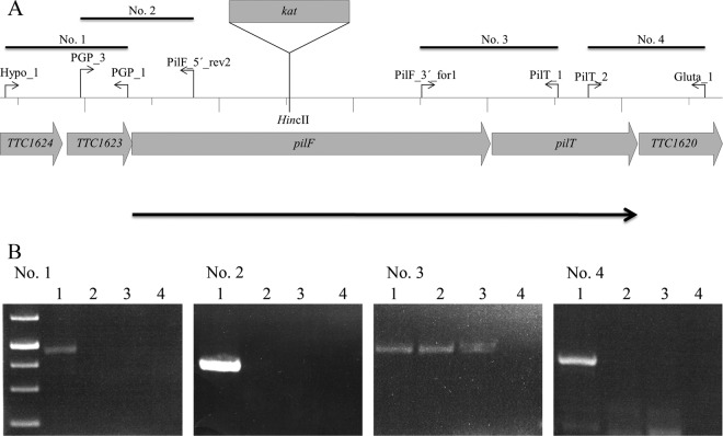 FIG 6