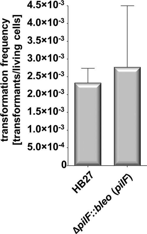 FIG 3