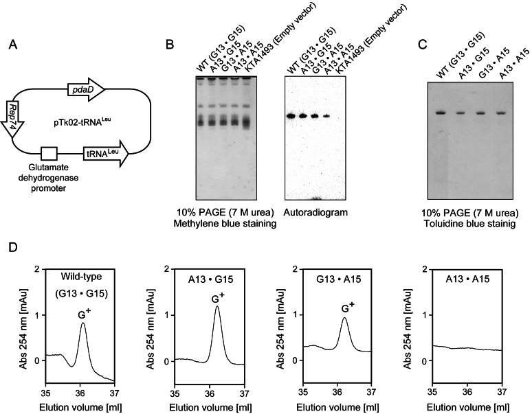 Figure 7.