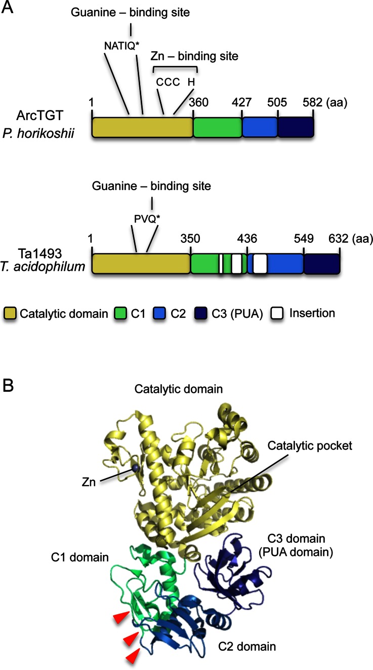 Figure 2.