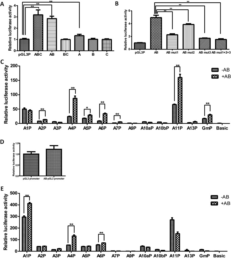 Figure 6.