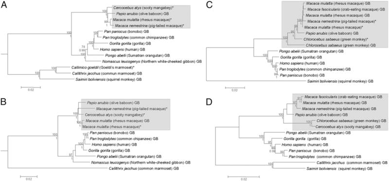 FIGURE 3