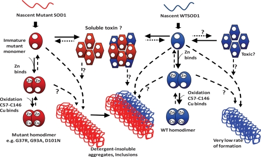 Figure 10.