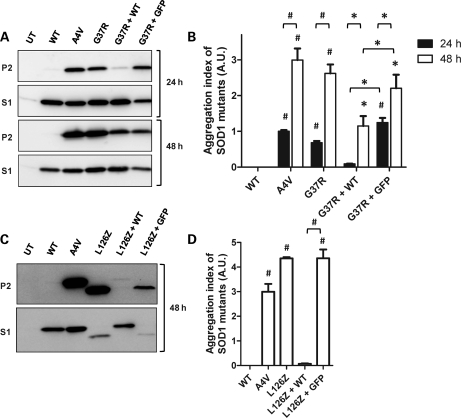 Figure 6.