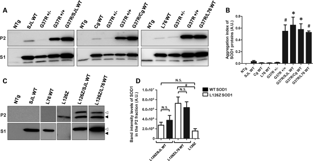 Figure 4.