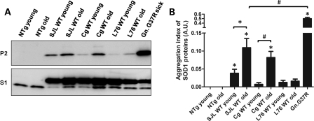 Figure 2.