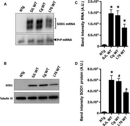 Figure 1.