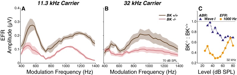 FIG. 12