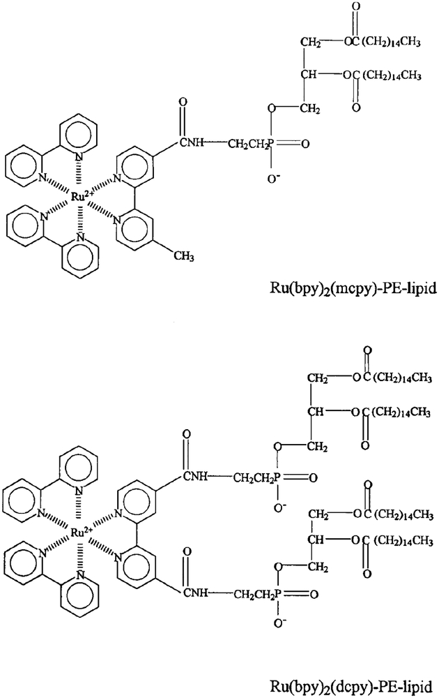 SCHEME I.